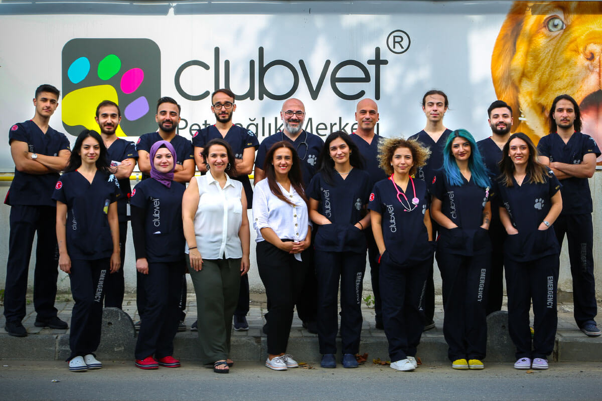 Clubvet team standing in line infront of hospital