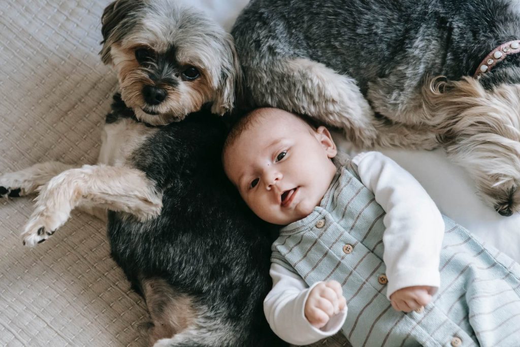 baby sleeping with dog