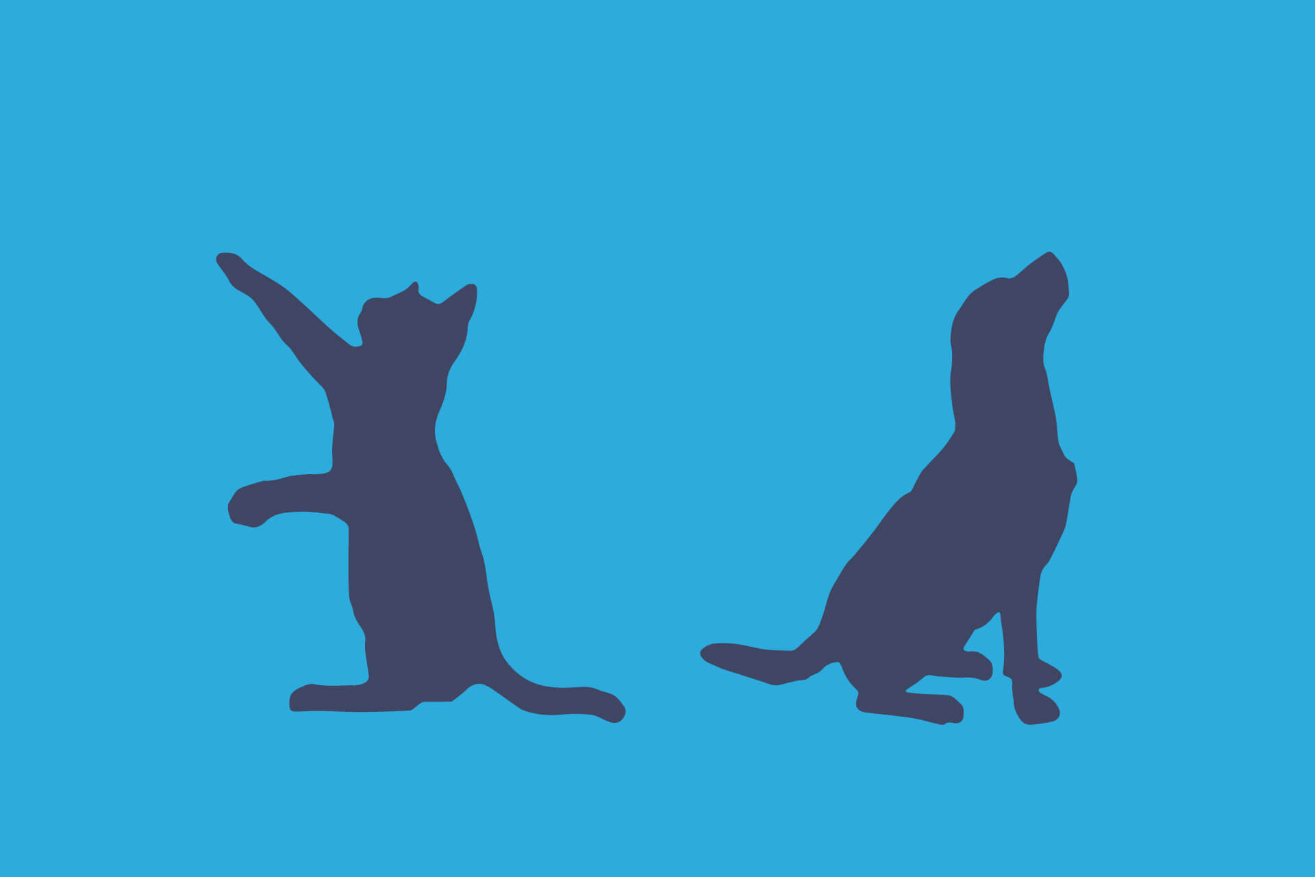 dog and cat vector