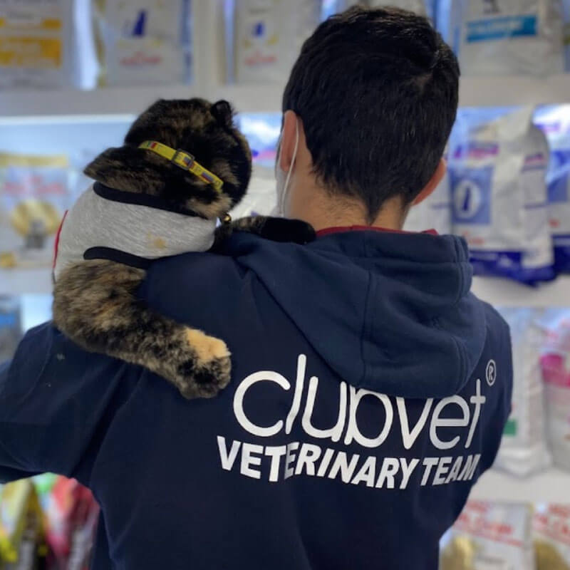 person with clubvet coat on carrying cat