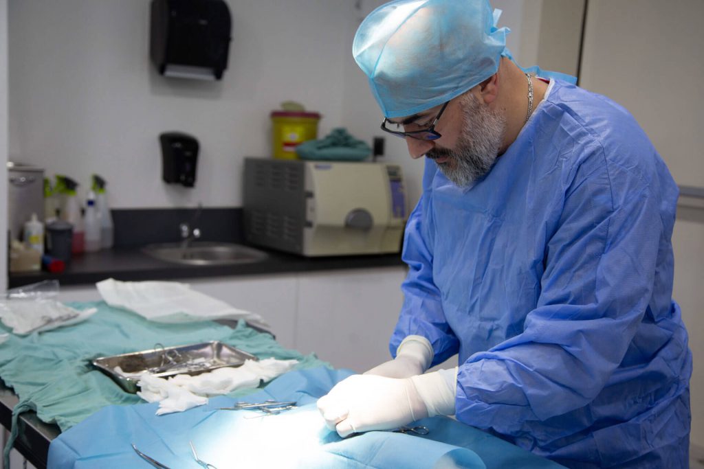 clubvet veterinary physician in an operation